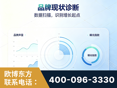芒-品牌现状诊断